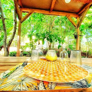 Glamping Farmer , Le Vauclin Martinique